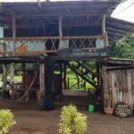 AnyConv.com__790e1bfc-f629-4dcb-84e1-d06c24f1aa32