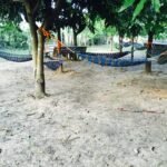 Hammocks-1-scaled