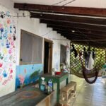 voluntariado en costa rica