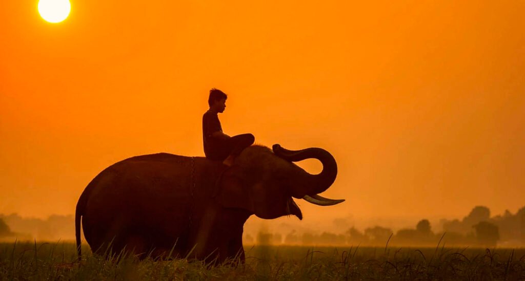 voluntariado sri lanka