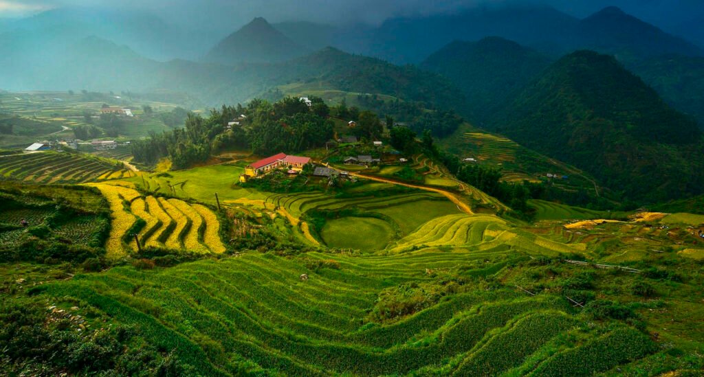 voluntariado vietnam