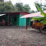 WhatsApp-Image-2021-02-11-at-16.49.03