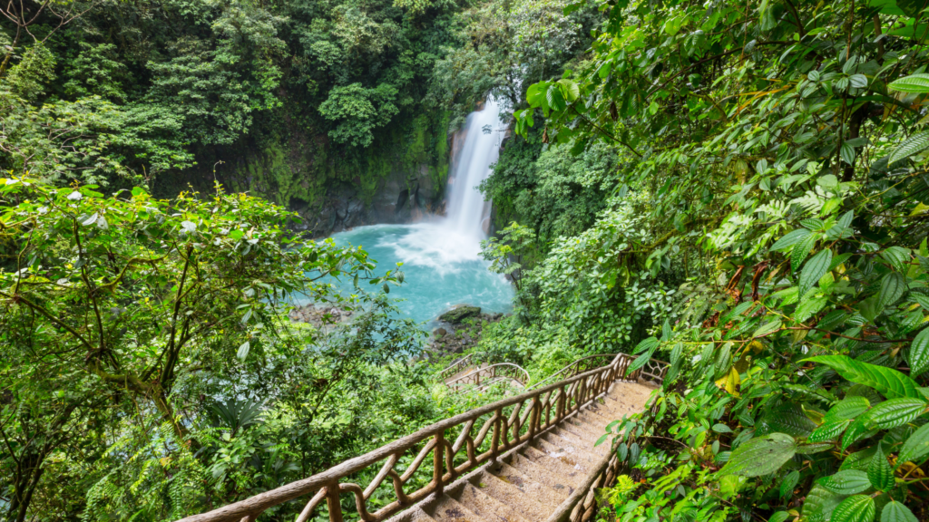 voluntariado en costa rica