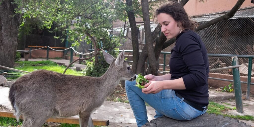 voluntariado ambiental