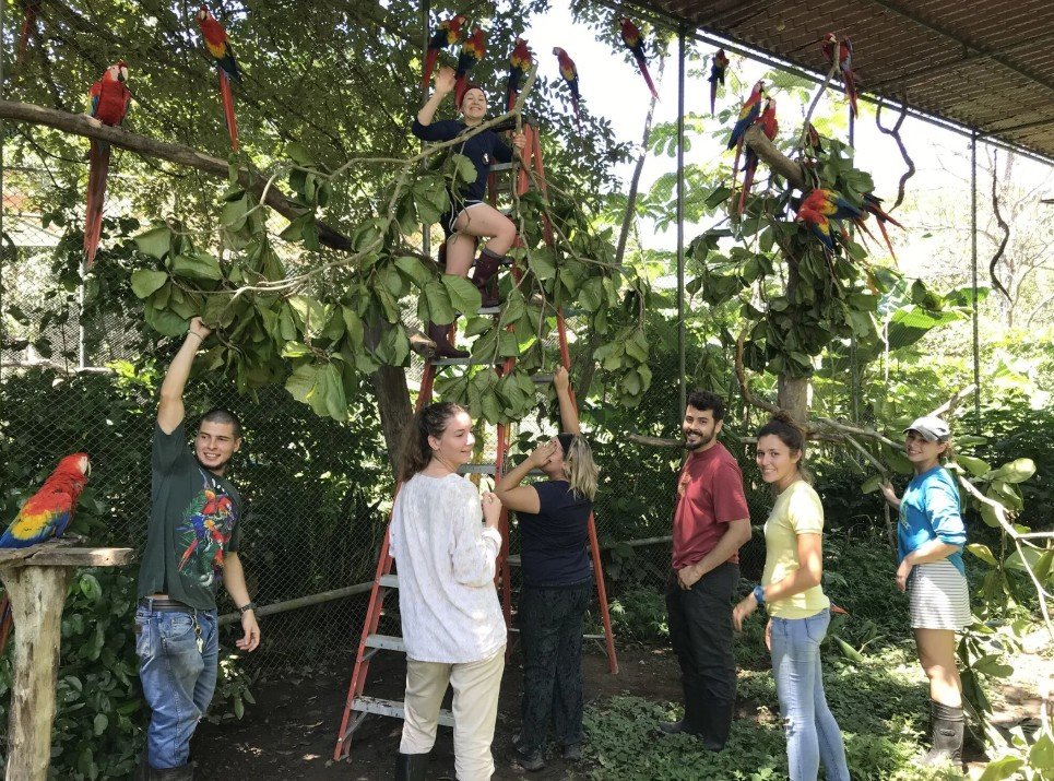 voluntariado en costa rica