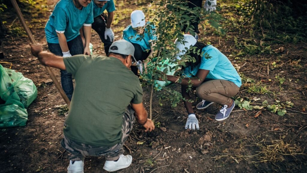 voluntariado internacional