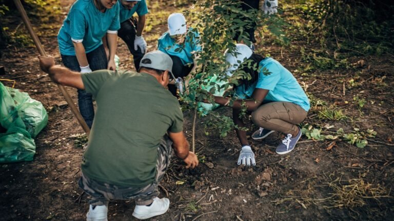 voluntariado internacional