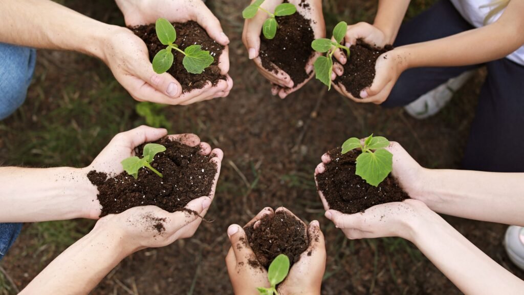 voluntariado internacional