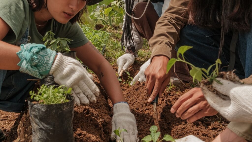 voluntariado internacional