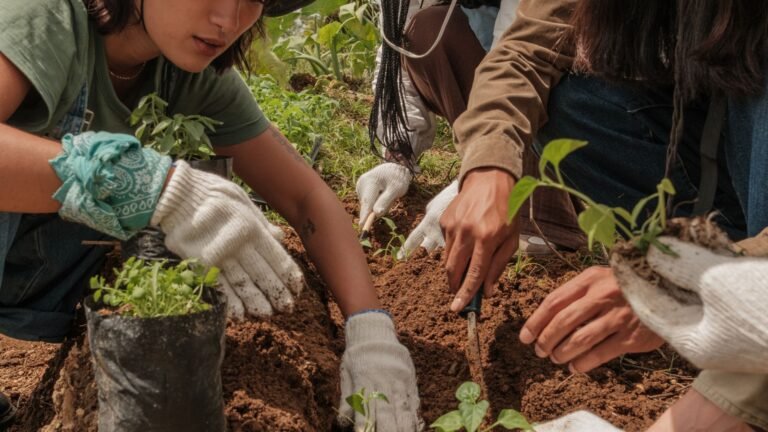 voluntariado internacional