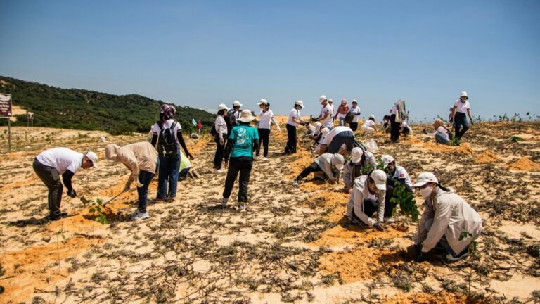 experiencias de voluntariado internacional