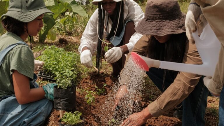 voluntariado en el extranjero