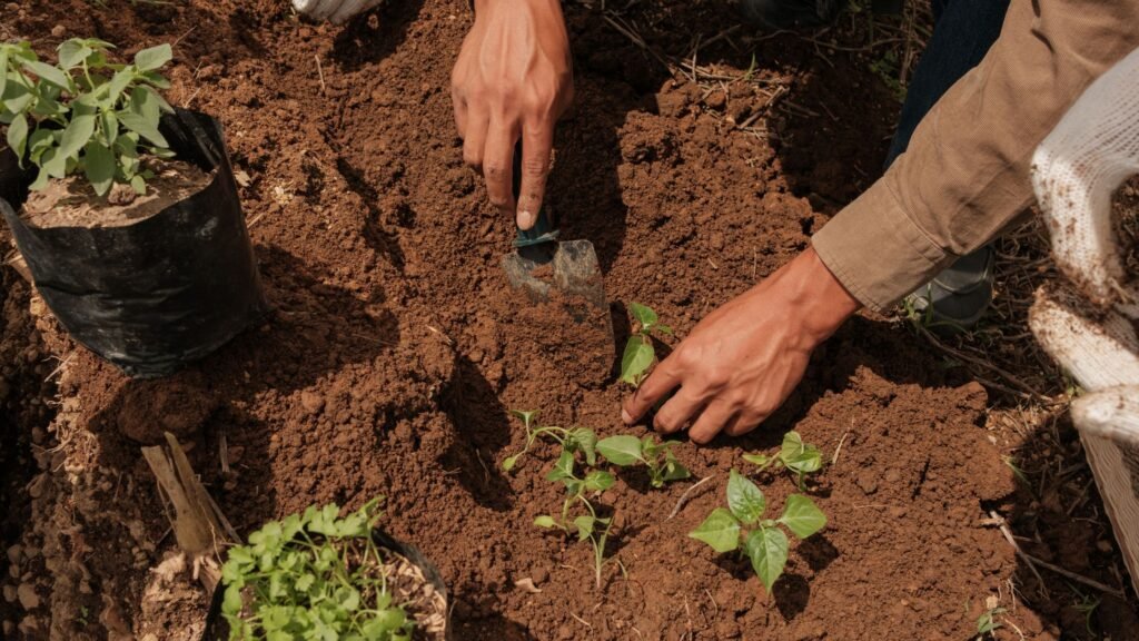 viajes de voluntariado