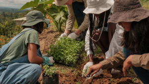voluntariados en el extranjero