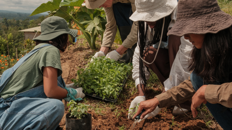 voluntariados en el extranjero