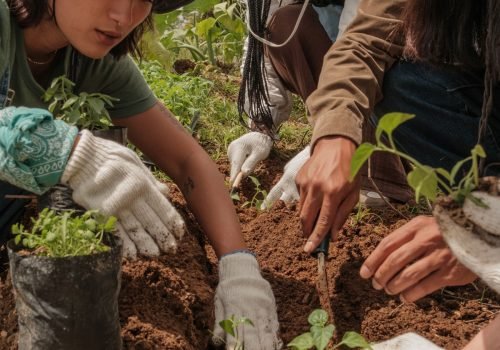 voluntariado internacional