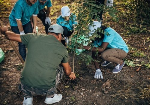 voluntariado internacional