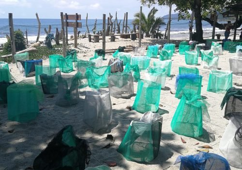Voluntariado en Costa Rica