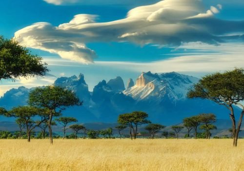 voluntariado en kenia