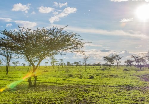 Landscape-Maasai-Village-20-scaled