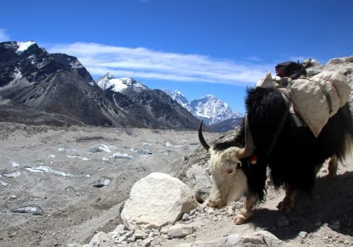 voluntariado en nepal