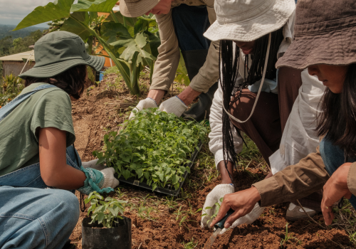voluntariados en el extranjero
