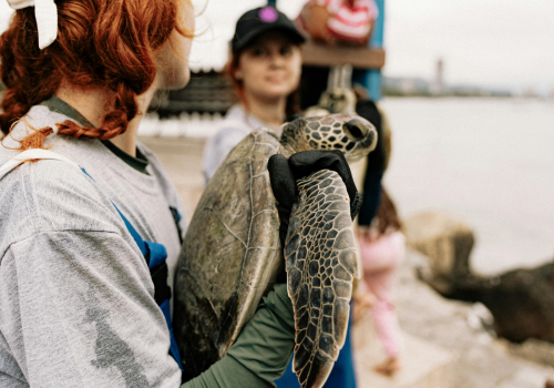 voluntariados en el extranjero